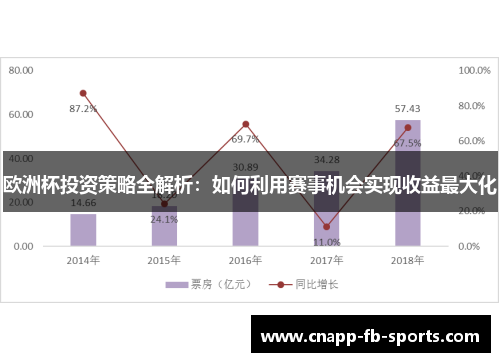 欧洲杯投资策略全解析：如何利用赛事机会实现收益最大化